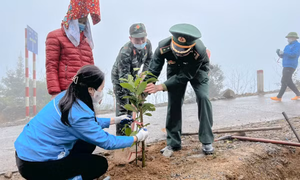 Giữ gìn “lá phổi xanh”