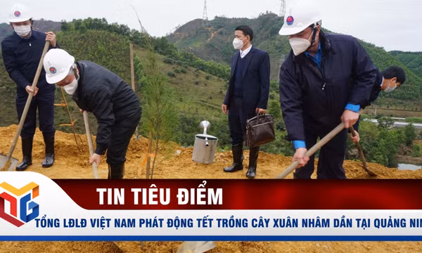 Tổng LĐLĐ Việt Nam phát động Tết trồng cây Xuân Nhâm Dần tại Quảng Ninh