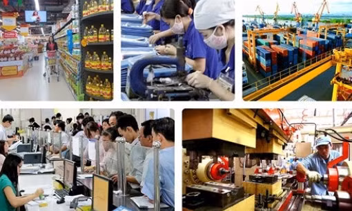 Hỗ trợ doanh nghiệp tư nhân kinh doanh bền vững