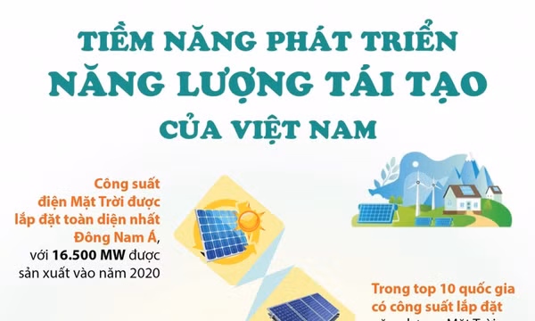 Tiềm năng phát triển năng lượng tái tạo của Việt Nam