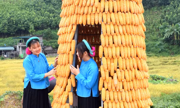Duyên dáng các cô gái Sán Chỉ 