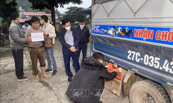 Triệt phá chuyên án ma tuý lớn, bắt giữ 3 đối tượng cùng 40 bánh heroin