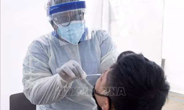 Phát hiện kháng thể mới có tiềm năng trở thành phương pháp điều trị COVID-19