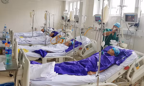 Lần đầu tiên thực hiện phẫu thuật bắc cầu động mạch chủ và động mạch vành tại Quảng Ninh