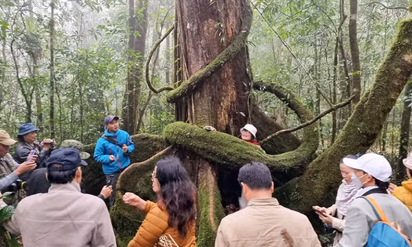 Tĩnh lặng cùng hoang dã