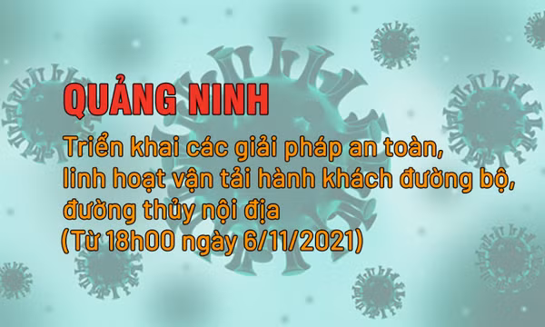 Quảng Ninh: Triển khai các giải pháp an toàn, linh hoạt vận tải hành khách đường bộ, đường thủy nội địa