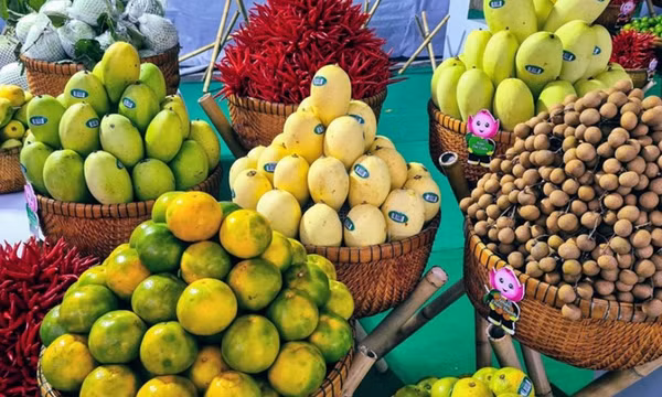 Đã xong thủ tục để xuất khẩu sang Trung Quốc đáp ứng được quy định mới