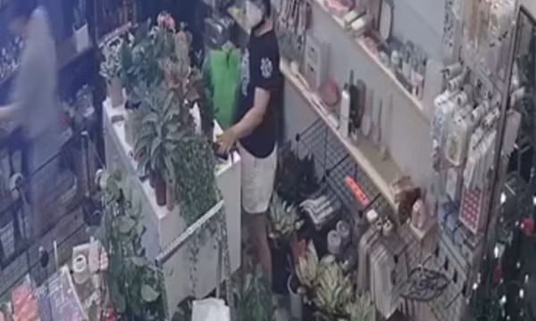 Vào mua cây cảnh, trộm điện thoại trị giá hơn 30 triệu đồng