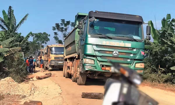 Xe quá tải lại bùng phát khắp nơi
