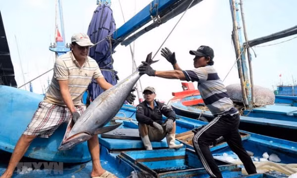 Khắc phục “thẻ vàng” IUU: Ủy ban châu Âu đánh giá gì sau 4 năm?