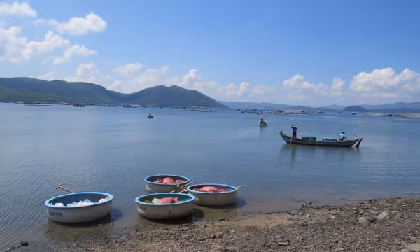 Sóng lớn đánh chìm tàu cá ở Phú Yên, thuyền trưởng tử vong