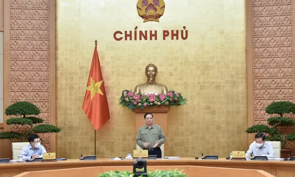 Đẩy mạnh các hoạt động phục hồi, phát triển kinh tế-xã hội