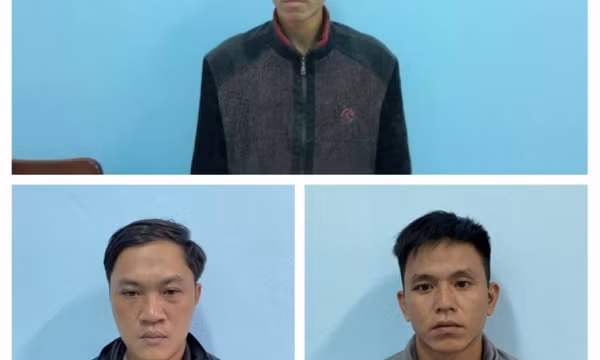 Nhóm côn đồ giết người ở Gia Lai sa lưới