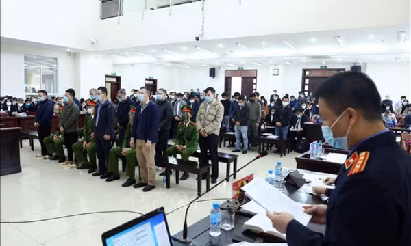 Vụ cao tốc Đà Nẵng - Quảng Ngãi: Làm rõ các nội dung kỹ thuật trong kết luận giám định