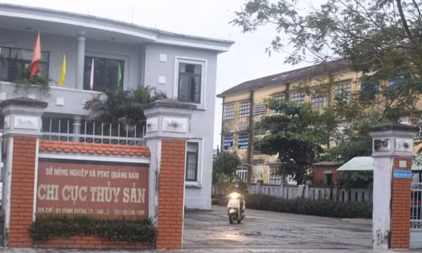 Cách chức Chi cục trưởng Chi cục Thủy sản Quảng Nam