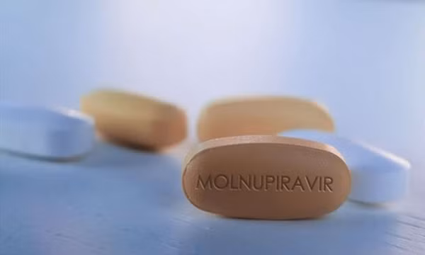 Việt Nam sản xuất thuốc kháng virus Molnupiravir điều trị COVID-19