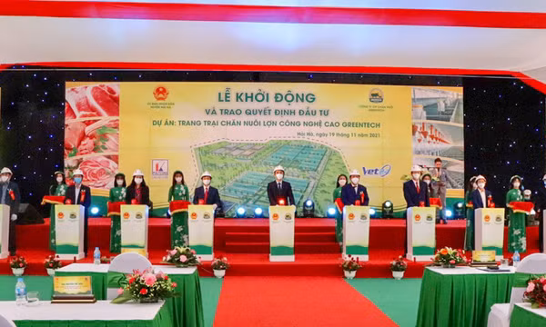 Hải Hà: Khởi động dự án trang trại nuôi lợn công nghệ cao Greentech