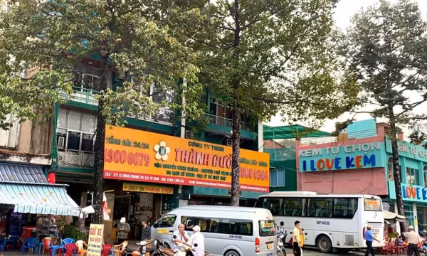 Thu hồi không thời hạn giấy phép kinh doanh của Công ty Thành Bưởi