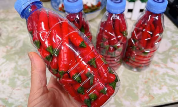Cách bảo quản ớt nửa năm không hỏng