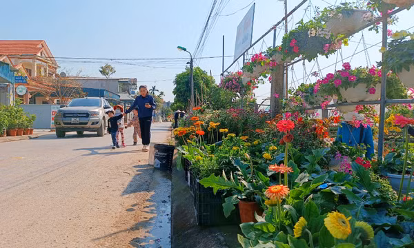 Trải nghiệm các làng hoa vào vụ cuối năm