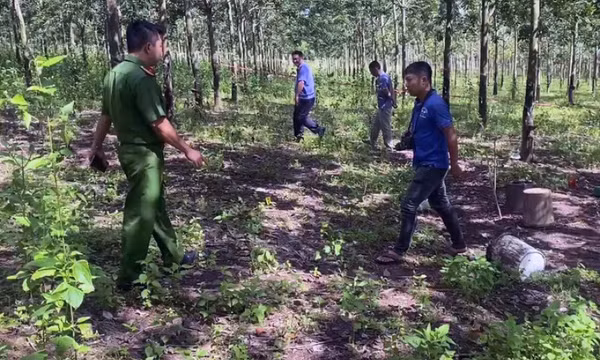 Mâu thuẫn trong vườn cao su, em ruột đánh chết anh trai