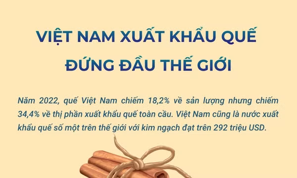 Việt Nam xuất khẩu quế đứng đầu thế giới