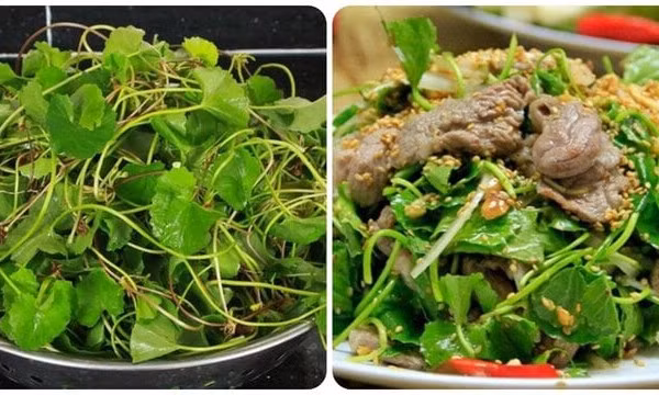 Công dụng của rau má với sức khoẻ ít người biết
