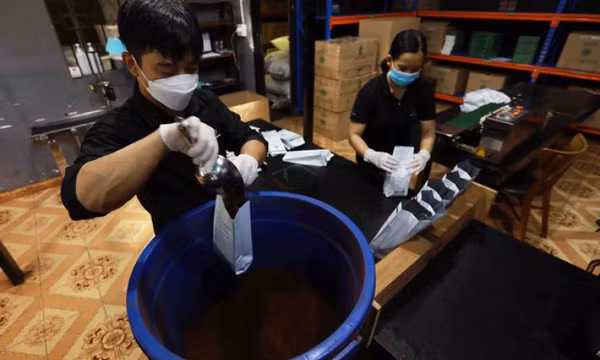 Cơ hội xuất khẩu chính ngạch cà phê sang Trung Quốc