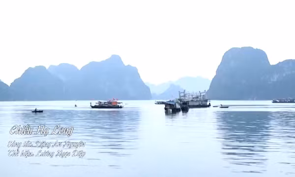 MV "Chiều Hạ Long"
