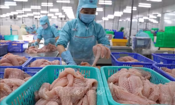 Khơi thông nguồn vốn tín dụng để hỗ trợ doanh nghiệp tận dụng hiệu quả FTA