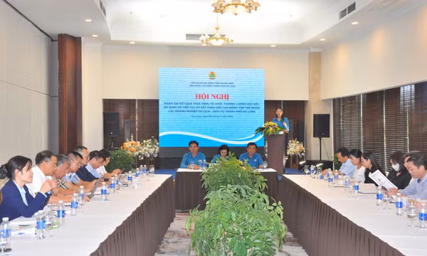 Đánh giá kết quả thực hiện TƯLĐTT nhóm doanh nghiệp du lịch - dịch vụ TP Hạ Long 