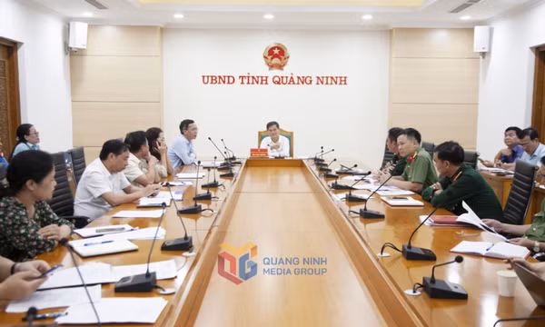 Tập trung chuẩn bị các nội dung hội nghị xúc tiến đầu tư Quảng Ninh – Nhật Bản 2023