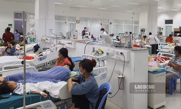 Đình chỉ hoạt động cơ sở cung cấp thức ăn sau vụ gần 80 học sinh nghi ngộ độc
