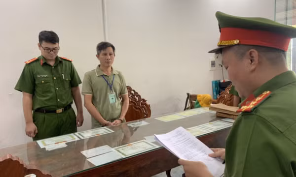 Lợi dụng chính sách ưu đãi thuế, giám đốc công ty phạm tội buôn lậu