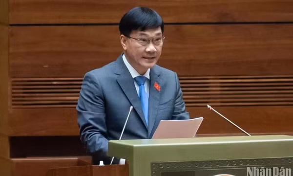 Ngăn tình trạng trả giá cao bất thường rồi bỏ cọc, gây lũng đoạn thị trường