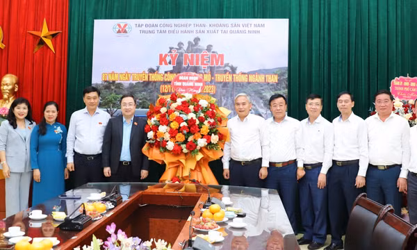 Đoàn Đại biểu Quốc hội tỉnh tặng hoa chúc mừng ngành Than