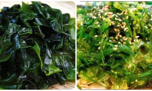 Công dụng của rong biển ít người biết