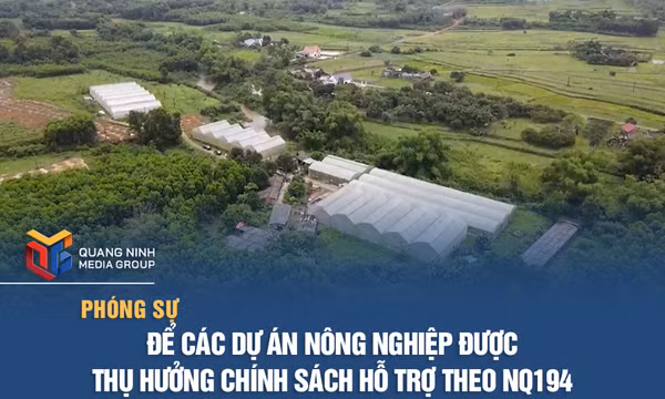 Để các dự án nông nghiệp được thụ hưởng chính sách hỗ trợ theo NQ194