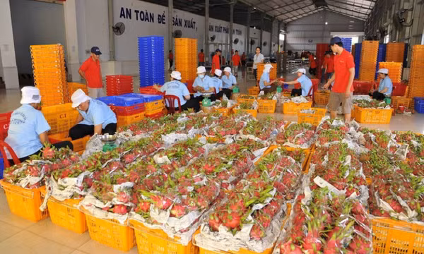 “Rộng cửa” xuất khẩu nông sản sang Trung Quốc