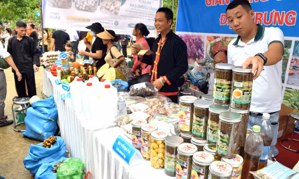 Đổi thay ở thôn Tầm Làng