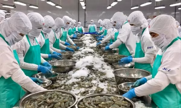 Doanh nghiệp chật vật giữa 'vòng vây' tỷ giá