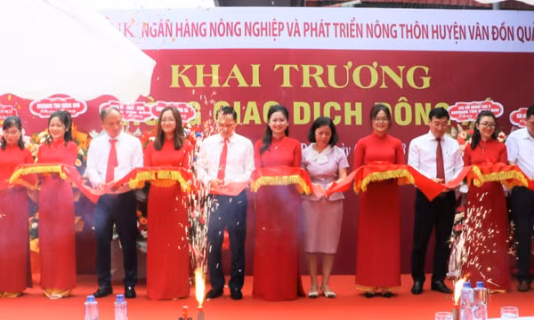 Agribank Chi nhánh tỉnh Quảng Ninh khai trương Phòng giao dịch Agribank Đông Xá tại huyện Vân Đồn, tỉnh Quảng Ninh