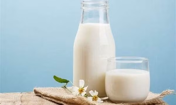 Uống sữa tươi như thế nào mới an toàn cho sức khỏe?