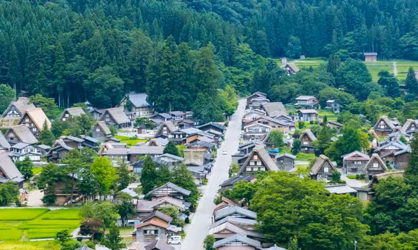 Mùa Hè xanh mát tại làng cổ Shirakawa-go, Nhật Bản