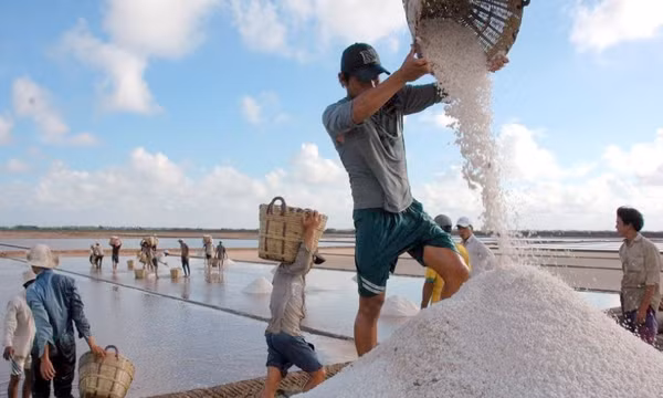 Sớm có giải pháp để muối đáp ứng ngành công nghiệp