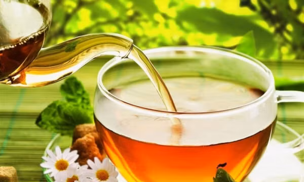 Nước nhân trần có tác dụng gì?
