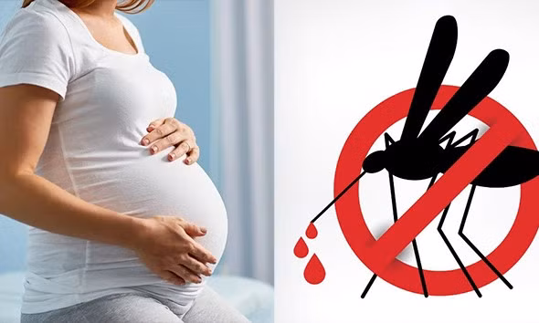 Đối tượng nào dễ trở nặng khi mắc sốt xuất huyết?