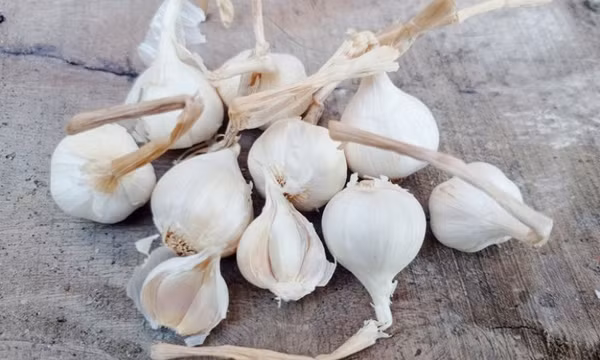 4 loại gia vị chống viêm giúp kéo dài tuổi thọ