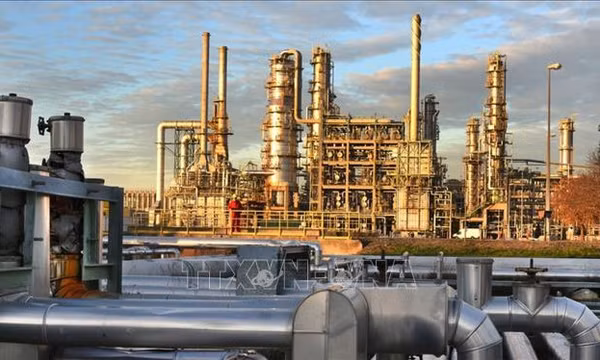 Tổng Thư ký OPEC: Thị trường dầu mỏ hiện nay 'rất bất ổn và hỗn loạn'