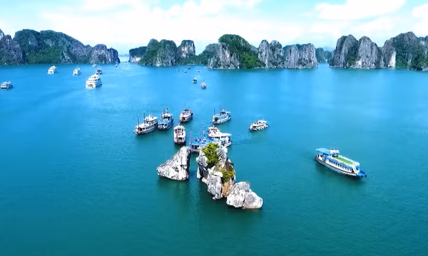 Bảo tồn hòn Trống Mái, Vịnh Hạ Long